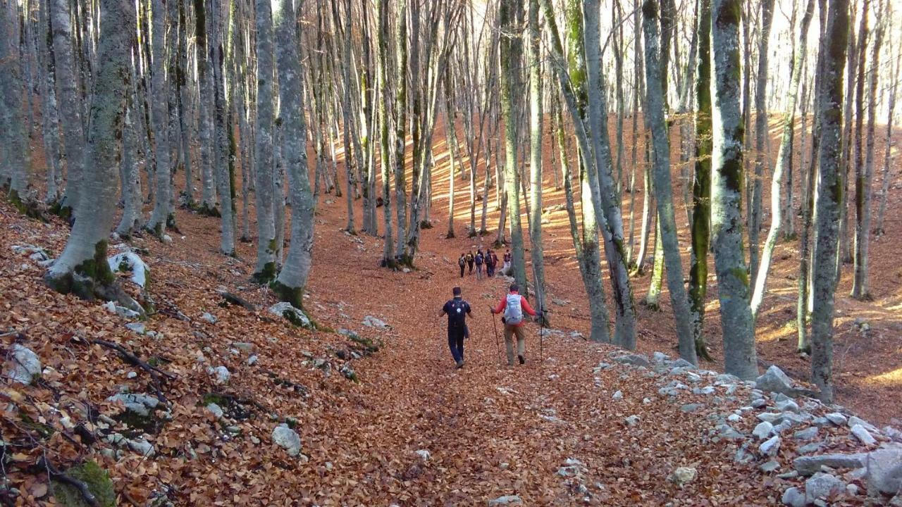 Natour L'Ostello Per I Camminatori Barisciano Eksteriør billede