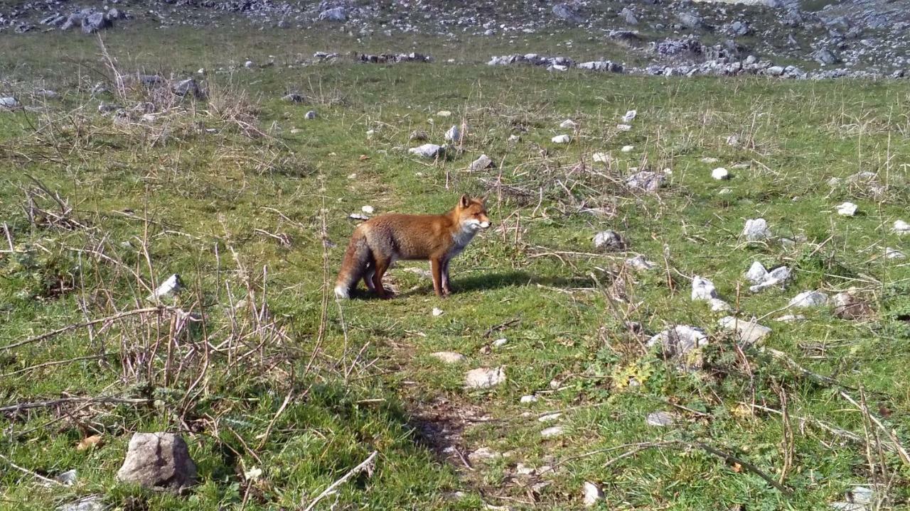 Natour L'Ostello Per I Camminatori Barisciano Eksteriør billede